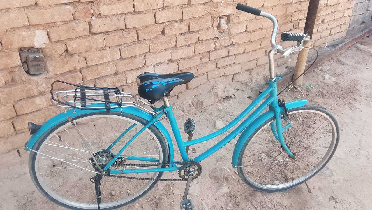 باسكل اابيع سعر  60وبيه مجال ***********
