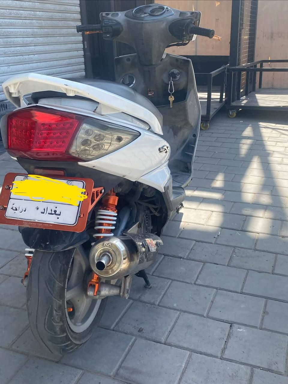 سكنس فحل ياباني رقم بغداد
كلجات رياضي خرز كبار 
صالنصه رياضي M
قاعده رقم رياضي 
دبلات رياضي يدات رياضي 
منضومه زنون
بكلايت اشاير خليه
مكاني بغداد المشتل 
***********

