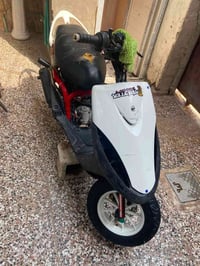 ماكس عدلة • معدل • كفالة