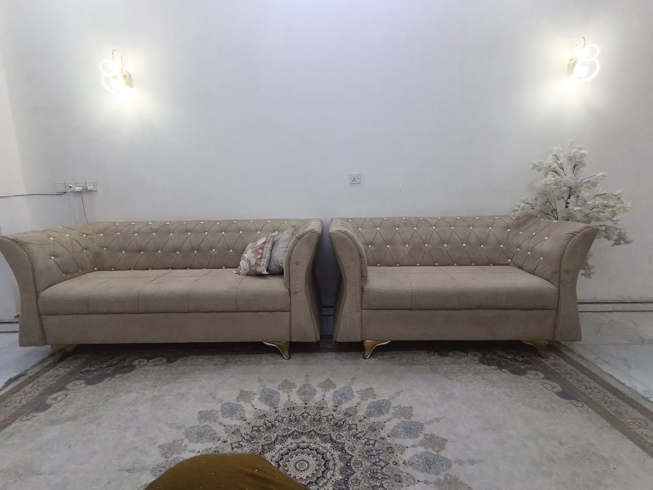 قنفات ١٠ مقعد • الخطيب الزراعي • شارع خولة