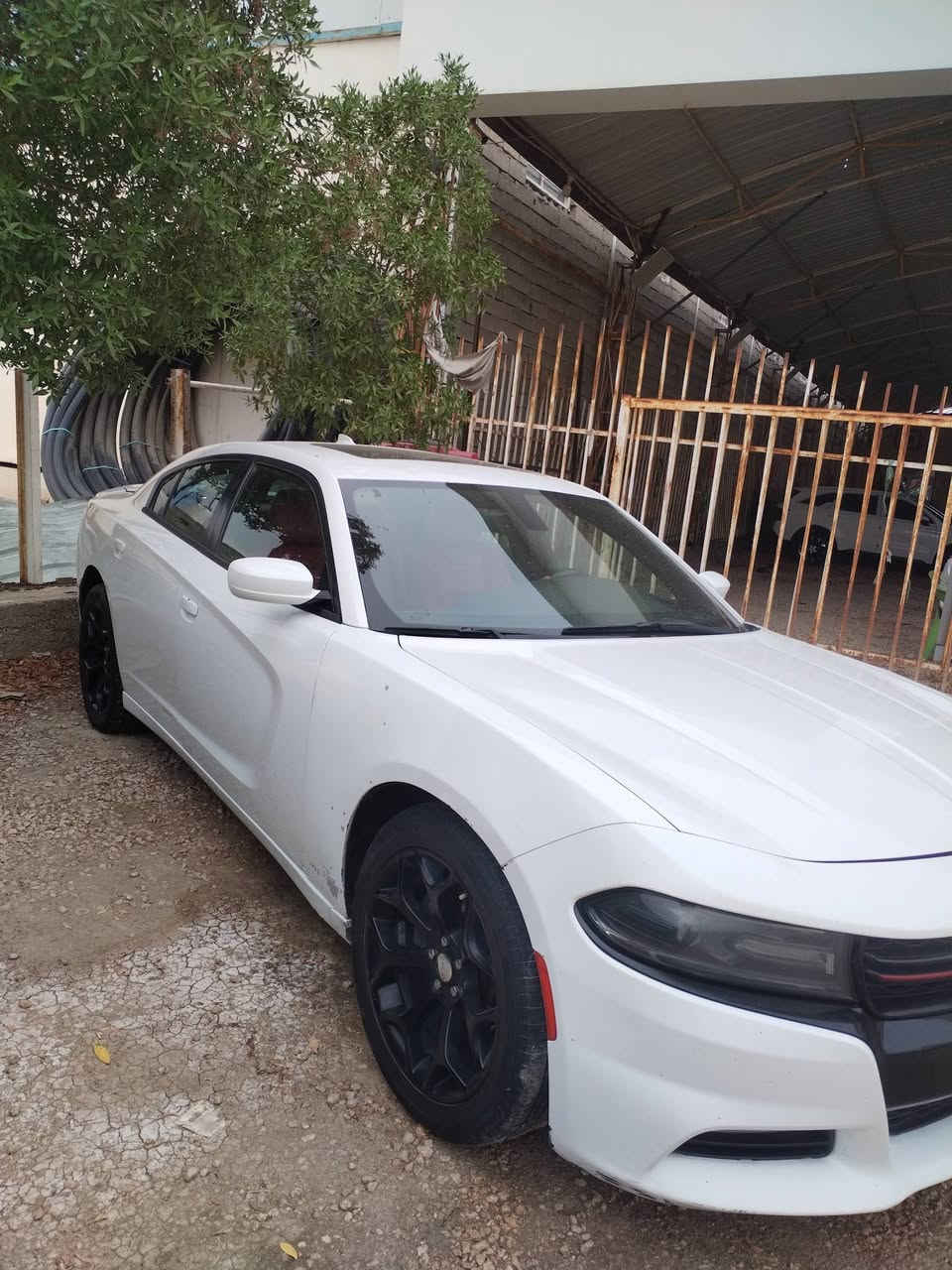 ٢٠١٨ • بدون ضرب • مكفولة