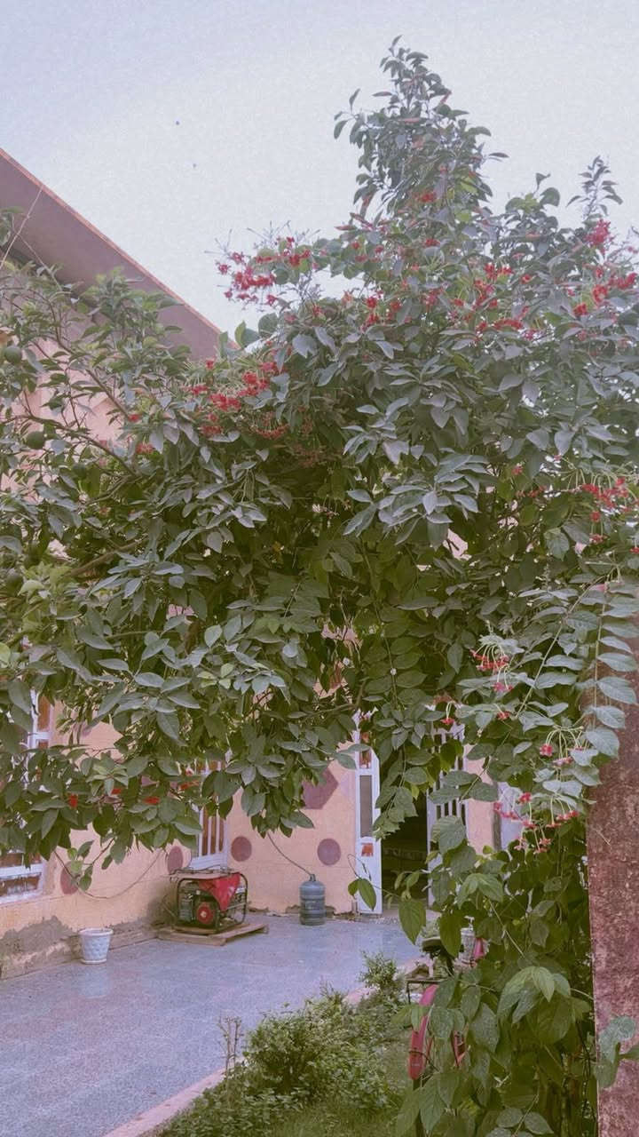 بيت للبيع • ٢٢٥م • طابقين