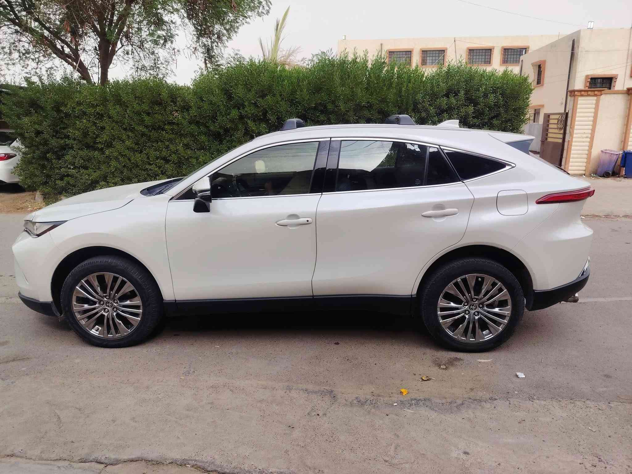 فينزا • ٢٠٢٢ • دعاميه اماميه