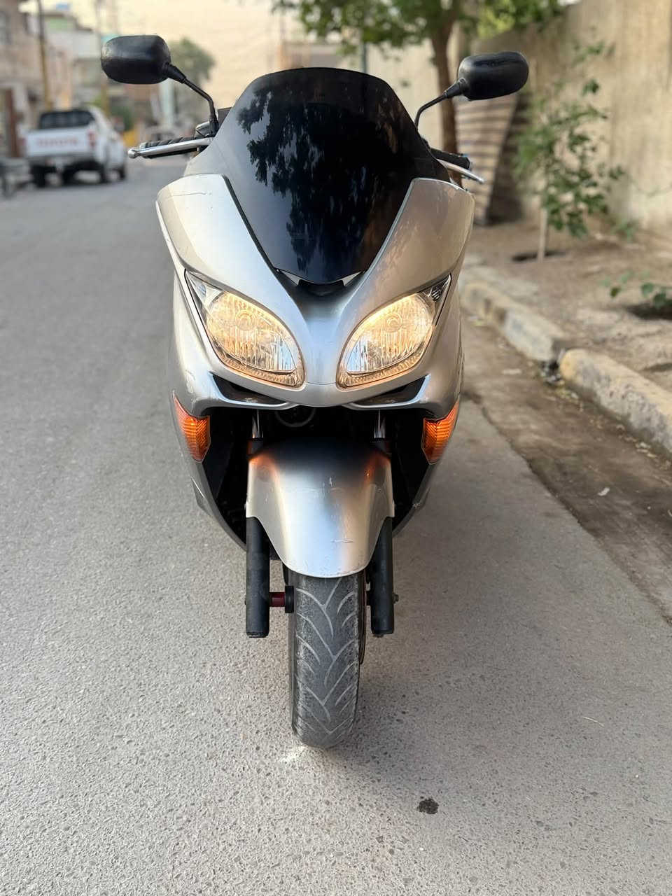 فورزة MF • ٠.٩ • أوراق
