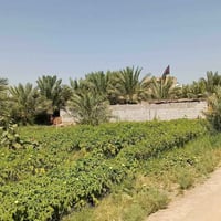 الديوانية السنيه • ٦٠٠م • سند ٢٥