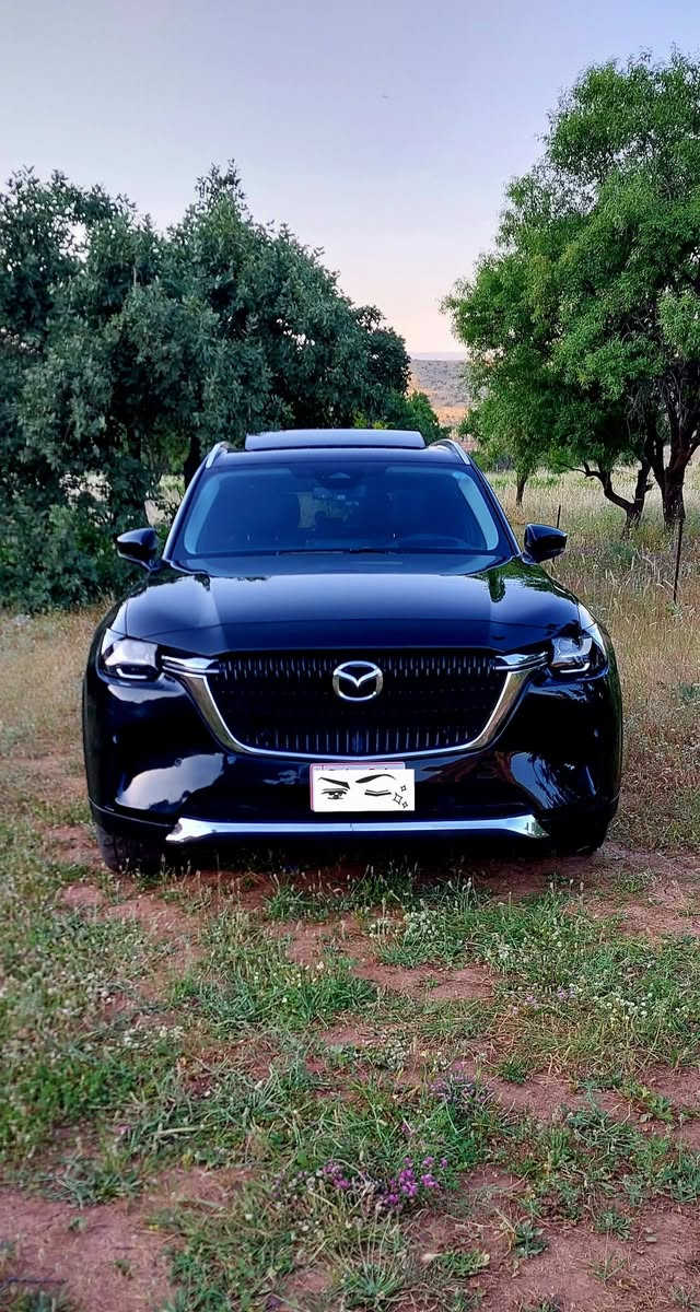 للبيع
Mazda CX-90 PREMIUM 2024
ماشيه ١٨٠٠٠ميل
بانوراما 
كشنات vip
محرك ٦ سلندر مايلد هايبرد 
دبل اكسل
بيه هواي مواصفات 
بدون رقم 
كاتي تترقم جميع محافظات إقليم 
شرط الترقيم 
صبغ
نص جاملغ كدام جهة العبري 
نص جاملغ خلفي نفس الجهه
بدون قطره دواخل 
صور الحادث موجود 
مزيد المعلومات 
*********** وتساب موجود
