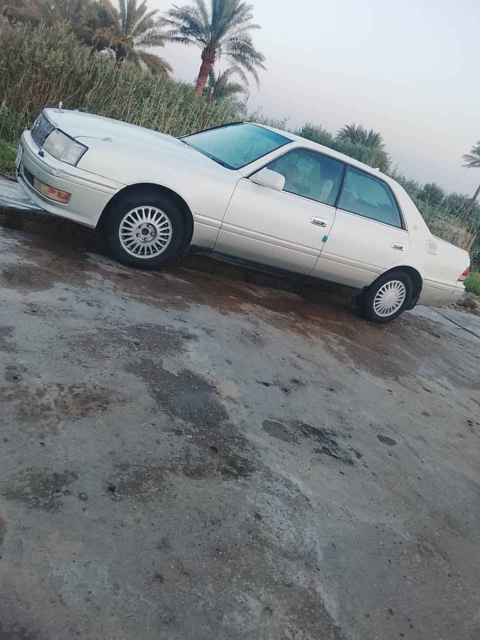 سلام عليكم مراوس أو بيع راس الثور فلات بيضه محزم كله شغال مابيه اي نقص كفاله السياره نقل  ال سعر 70 فقل قفل مايعجبك عبر المنشور. السياره بسمي مدور بيومه مكاني الشطره مدينتي 
رقمي ***********
