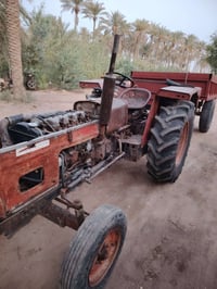 عنتر • جاهزة • مشخاب