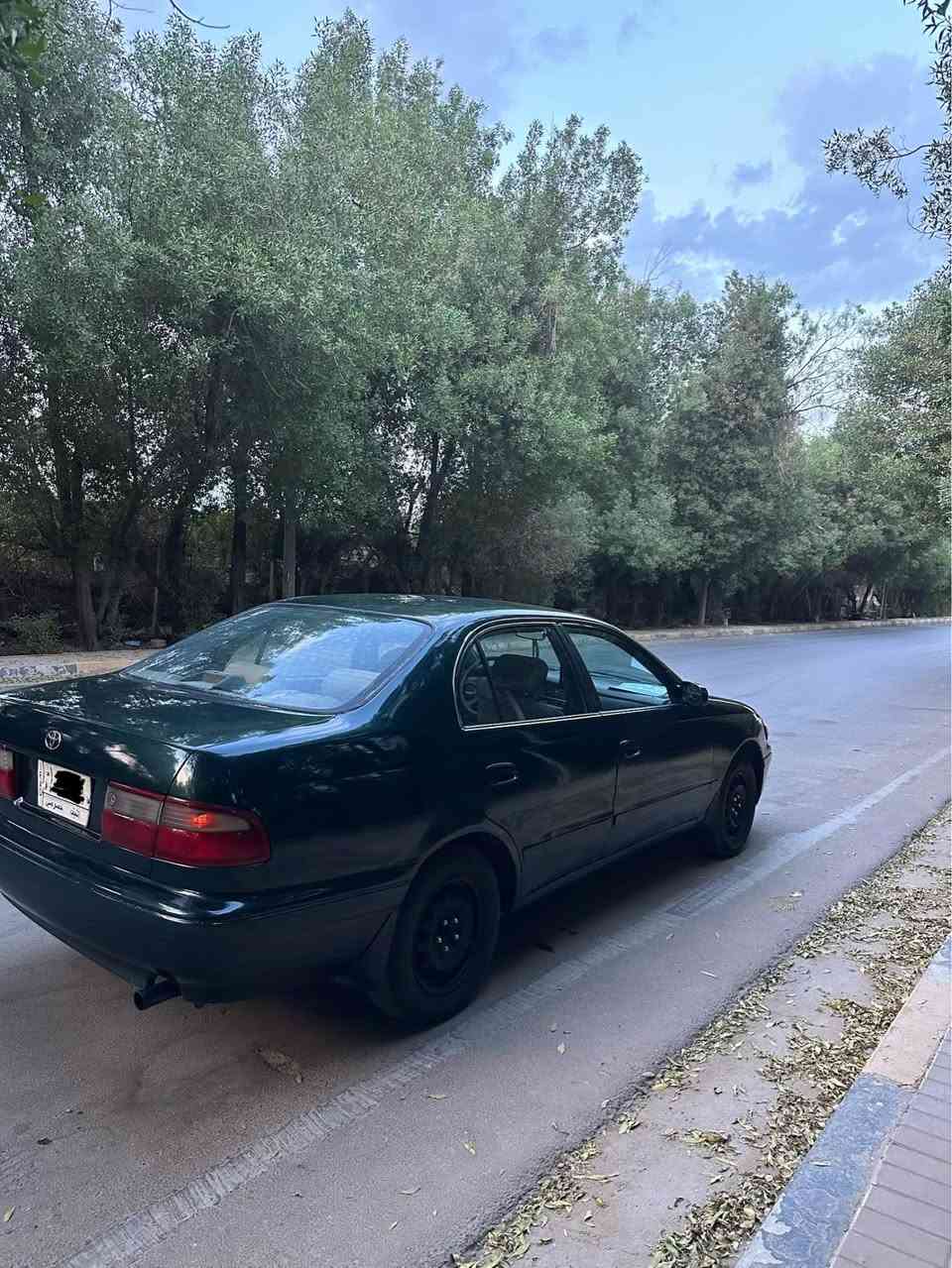 كرونه • ١٩٩٤ • رقم النجف