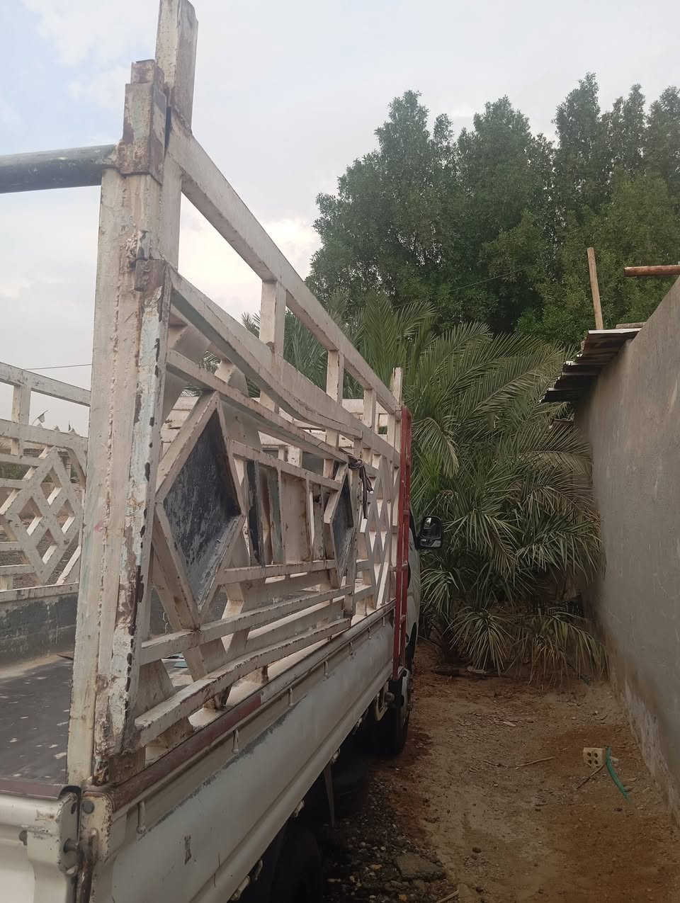 محجر • فحل • كوت