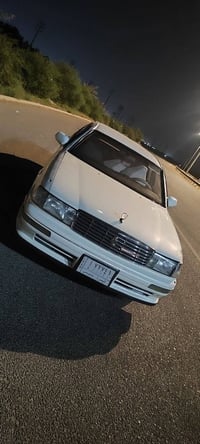 بطه • ابيض صدفي • ١٩٩٥