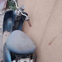 عبد الحليم كلاسيك • فحل • شبابه