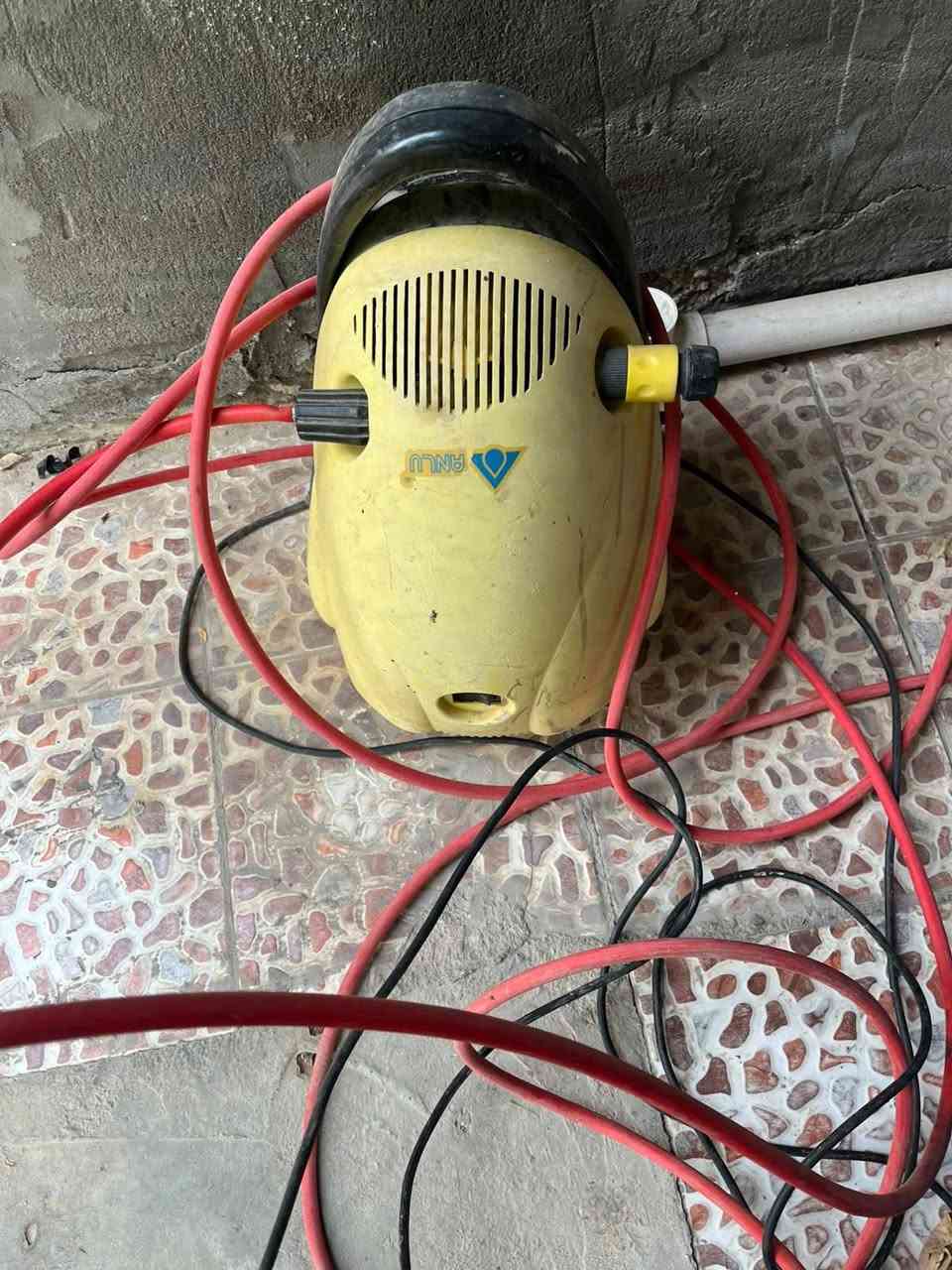 فاره • شغالة • عل فحص