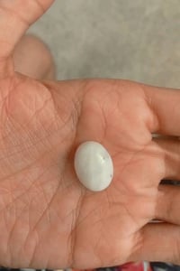 عقيق ثلجي • نادر • حجر