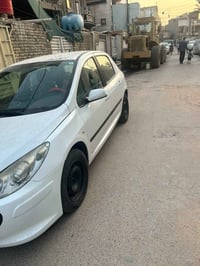 بيجو • ٢٠٠٦ • رشات صبغ
