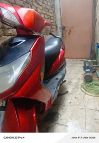سكنس فحل • نوزل • مكفولة