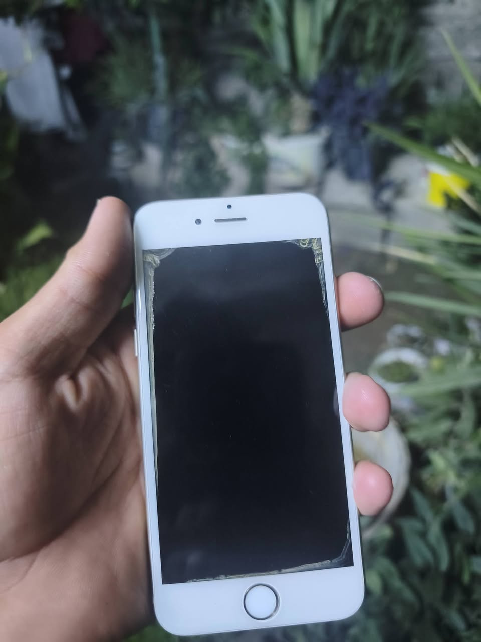 السلام عليكم جهاز بلاش 
ايفون 6s  
ذاكره 64
بطاريه 🔋100 مبدل جديد 
كامره حيل حلوه تك سيم شغال 100/100
السعر بلاش 30 الف وبي مجال حك جيتك للتواصل خاص او على الرقم وبي واتساب 
***********
