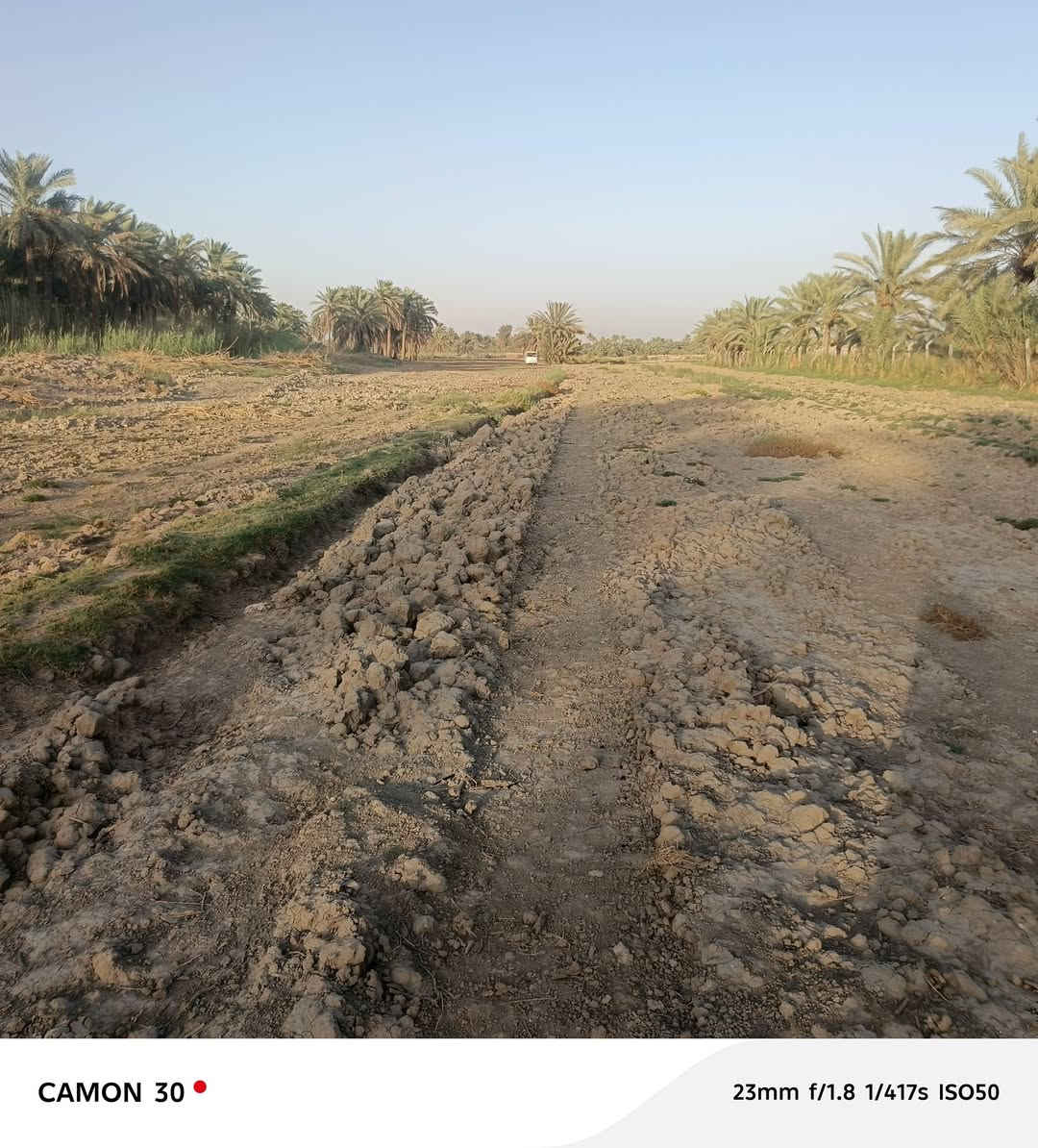 أرض زراعية • ٨ دونم • ٢٢ نخلة
