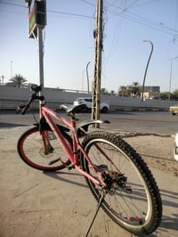 باسكل جبلي • ٧ نمر • بريك يحتاج واير