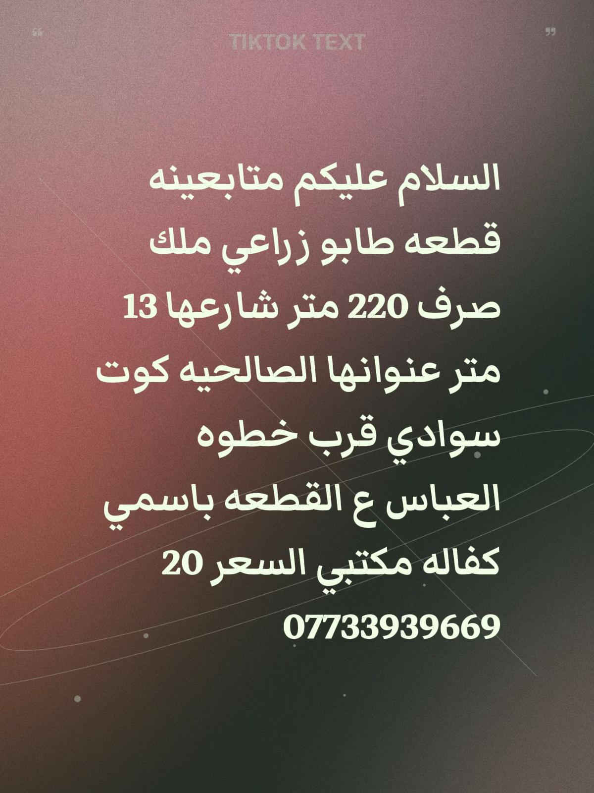 الصالحيه كوت سوادي • ٢٢٠م • طابو زراعي
