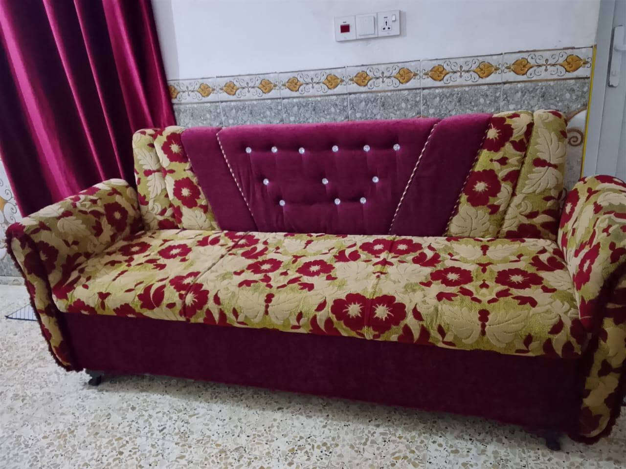 تخم قنفات • حلو • سليم
