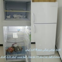 هيآشي • ١٨قدم • أبيض