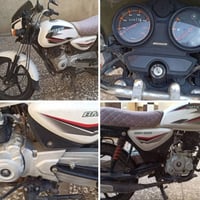 بوكسر • كلاسك • ٢٠٢٢