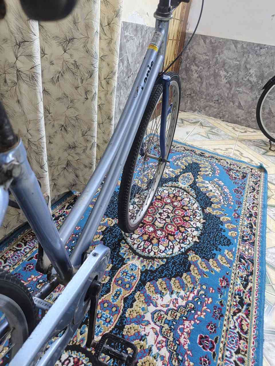 السلام عليكم اعاده نشر بسبب الوعود الكاذبه 
باسكل البيع نضيف مديل 17 حجم 26
سعره 65بي مجال شراي بي خير ويدلل مكان شطره 
*********** واتساب
