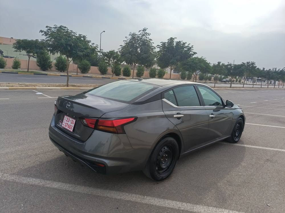 التيما S • ٢٠٢٥ • بدون صبغ