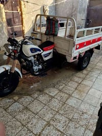 ستوته • موديل ١٥ • بدون اوراق