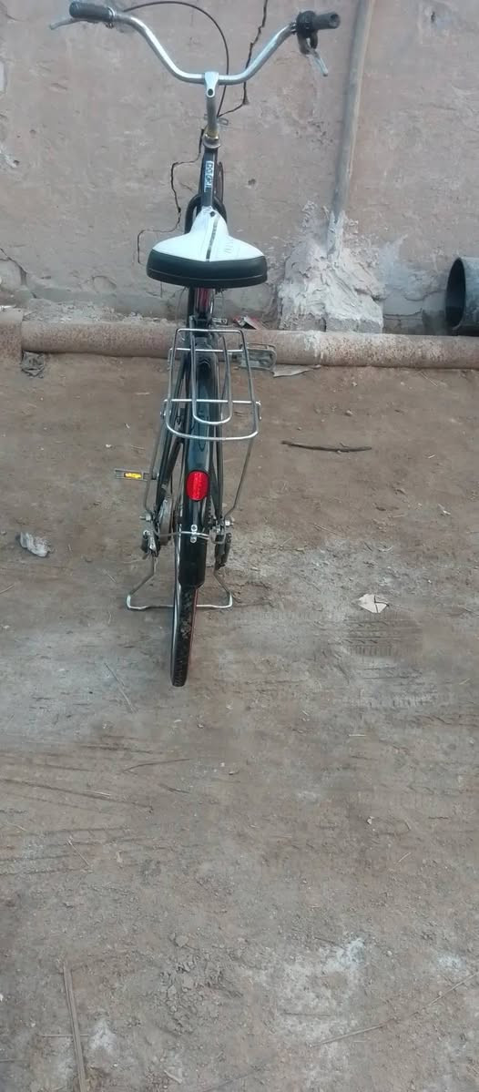 باسكل • حجم ٢٧ • موديل ١٥
