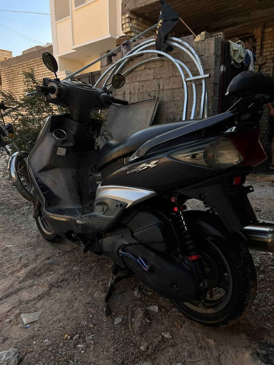 سكنس فحل • نضافة • معدل
