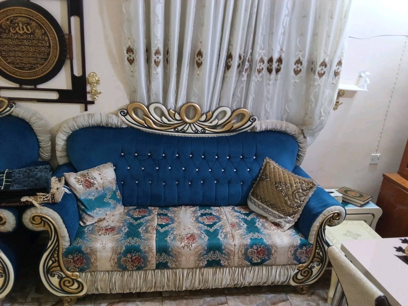تخم 10مقعد فقط وحده مكسور الجسر السعر 225وبي مجال