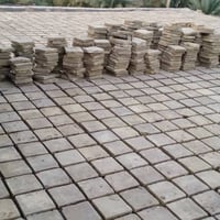 فرشيه خضراوي • شرط • طويريج