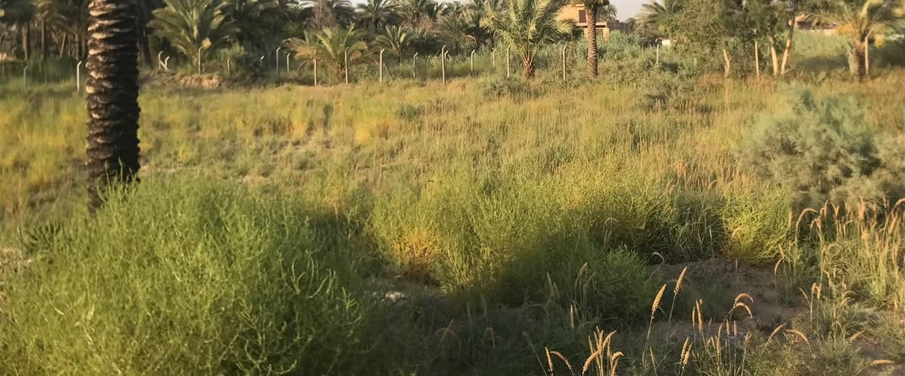 السلام عليكم توجد قطعة ارض للبيع تحويل بسم المشتري المساحه الكليه 1800 متر  الموقع السياحي تبعد عن شارع الرئيسي 75 متر عرض الطريق 5 متر صافي ترهم تجاريه مخزن وماشابه ذالك وتهرهم سكن الموقع السياحي منطقة فنهرة 
للاستفسار اكثر الاتصال ع الارقام التاليه 
***********
***********
