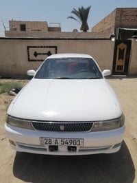 شيزر • مصبوغ • رقم نجف