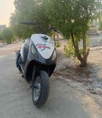 ماكس منغولي • نضيفه • نقصه كولبات