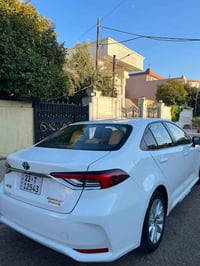 كورلا فول • ٢٠٢٤ • مكان كركوك