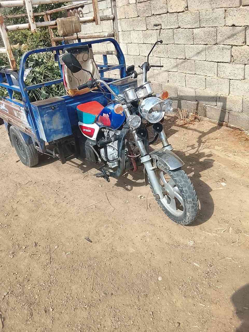 ستوته • موديل ٢٠