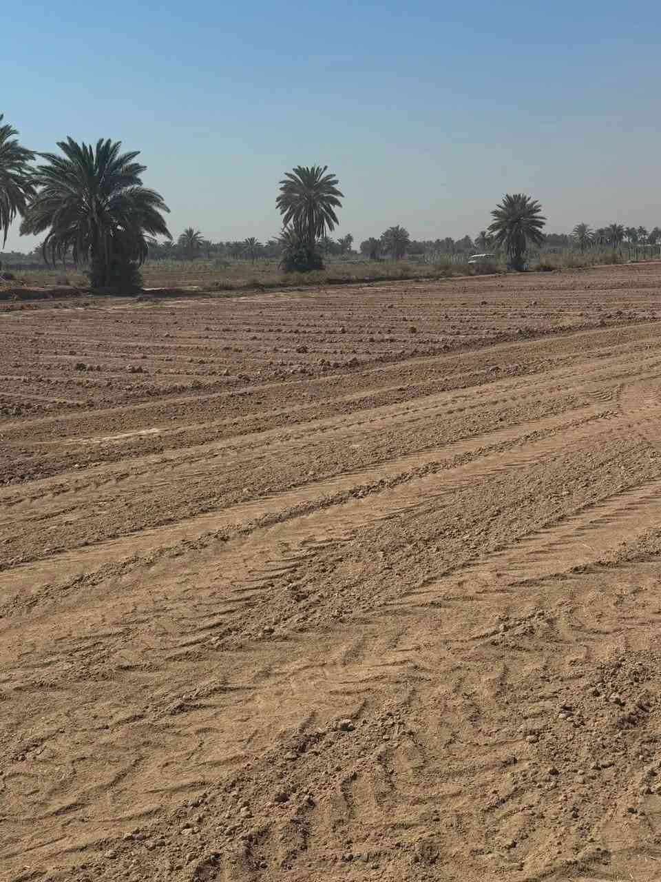 🚨  - اراضي زراعية تقسيم جديد 🚨
يبعد عن جامعة جامعة تقريب 3 كيلو- شارع خدمات - تحويل مباشر

شوف المخط بعينك 👇 التقسيم واضح ونظامي 100%

التفاصيل السريعة:
المساحة : 2.5 دونم 2500م² - اغلب القطع
اكو هم : قطعة 1850م² و قطعة 1150م²
السند : طابو زراعي سند 25
الموقع : 500 متر عن التبليط + يم جامعة بابل
الخدمات : شارع وسطي + ماي + كهرباء دا تنمد
البيع : تحويل مباشر

المميزات:
 1.   واجهات ممتازة وشارع خدمات يفصل القطع
 2.   منطقة مستقبلها ذهب بسبب الجامعة
 3.   تصلح سكن زراعي + مزرعة + استثمار
 4.   الارض محروثة وجاهزة

الاتصال (***********)- واتساب متاح
