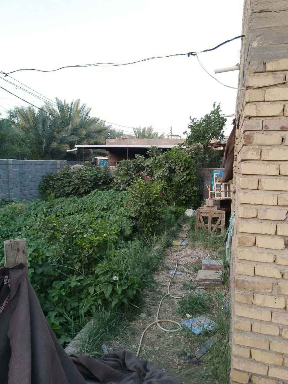 سلام عليكم بيت البيع
البيت زراعي 
المساحه 600 البناء 230 درجه اولى
 البناءالسقوف صب كونكريت درجه اولى الشغل
الموقع محاويل حي ابوسديره 
مكلف بيه 
سعر ٧٠وبيه مجال 
***********
