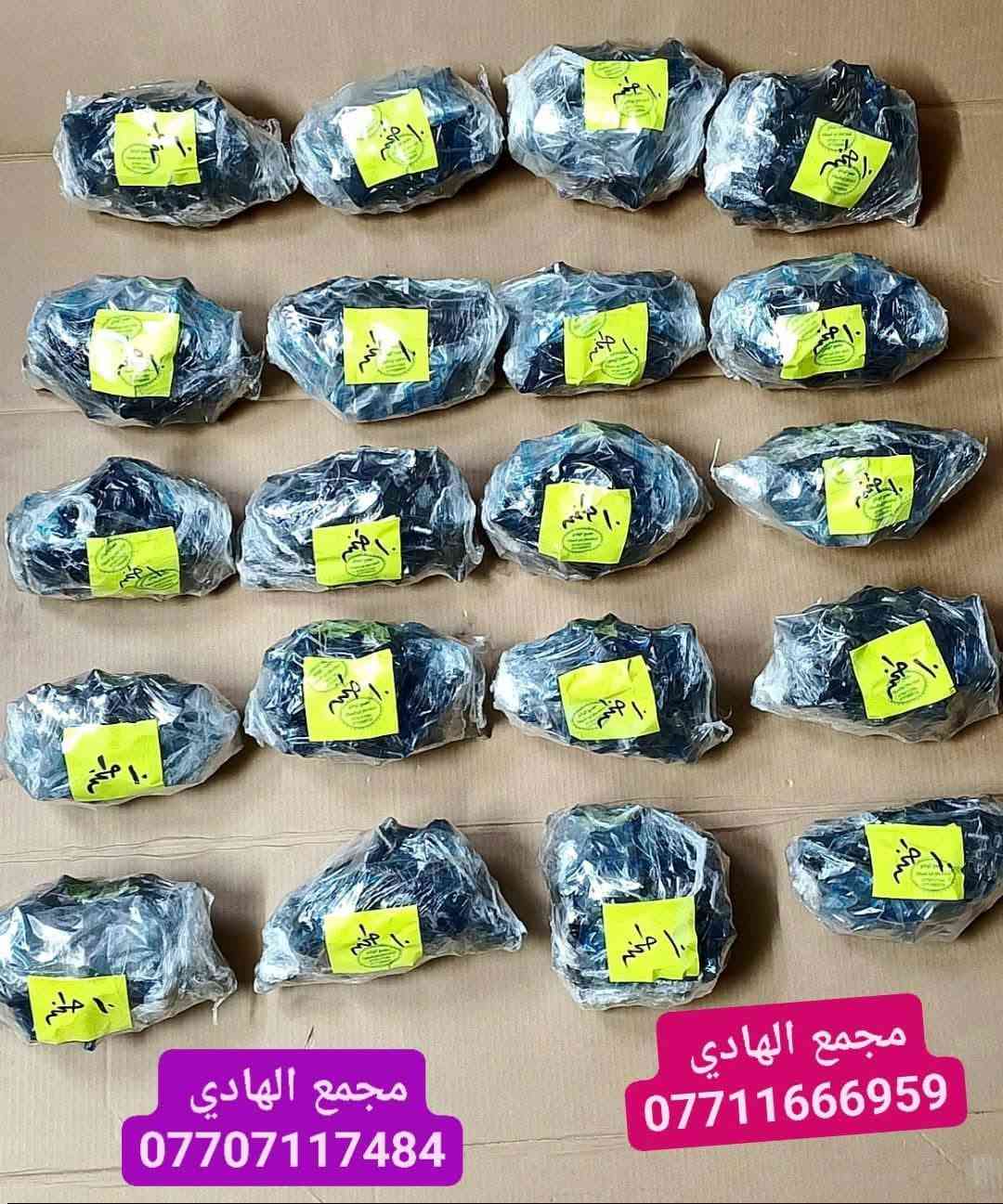 نوزل الماني تحوير ايراني _صيني تفصيخ حاوية 
سايبا_ سمند _طيبة_ اوبترا_ فتون _ شيري
العدد :- 100 طخم
التوزيع :- جملة فقط 
العنوان :- بغداد / كسرة وعطش المدخل الثاني
للاستفسار الاتصال على الارقام التالية :- 
        Whatsapp : ***********  
        Whatsapp : ***********
        Whatsapp : ***********
