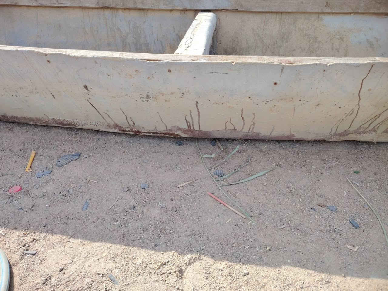 بليته ايرانيه • بصرة • كرمه علي أبو صخير