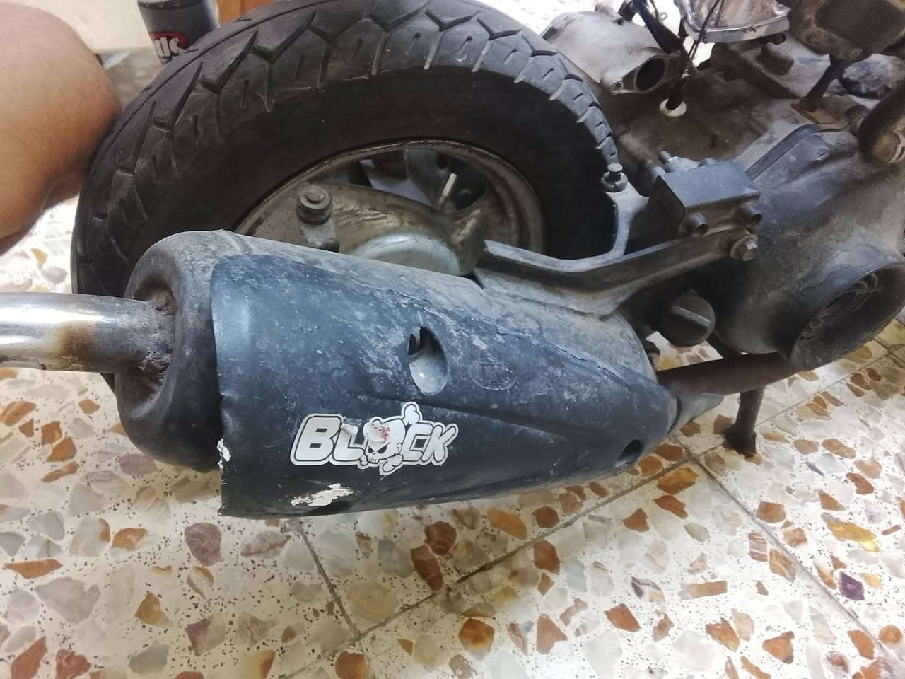 صجميات 2 للبيع وحدة ام القنفذ صوتة قوي مناسبات كلش

 ***********
