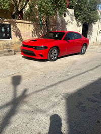 احمر طماطي • رقم بصره • ٢٠٢٣