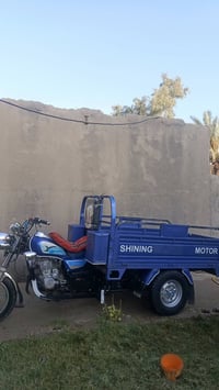 ستوته • ٢٣ • اصولي
