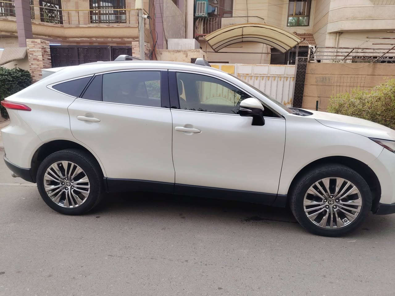 فينزا • ٢٠٢٢ • دعاميه اماميه