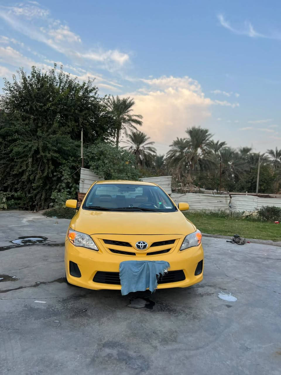 كورلا • ٢٠١١ • رقم بغداد