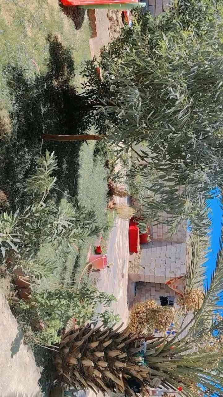 حي الامين • سند ٢٥ • ٢٥٠م