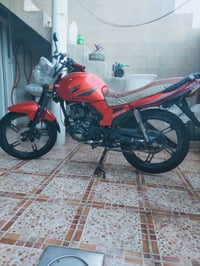 ليفان • نضيف • مامزاوة